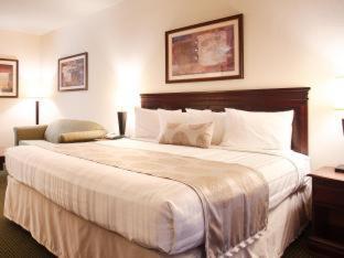 Best Western Jacksonville Inn Ruang foto